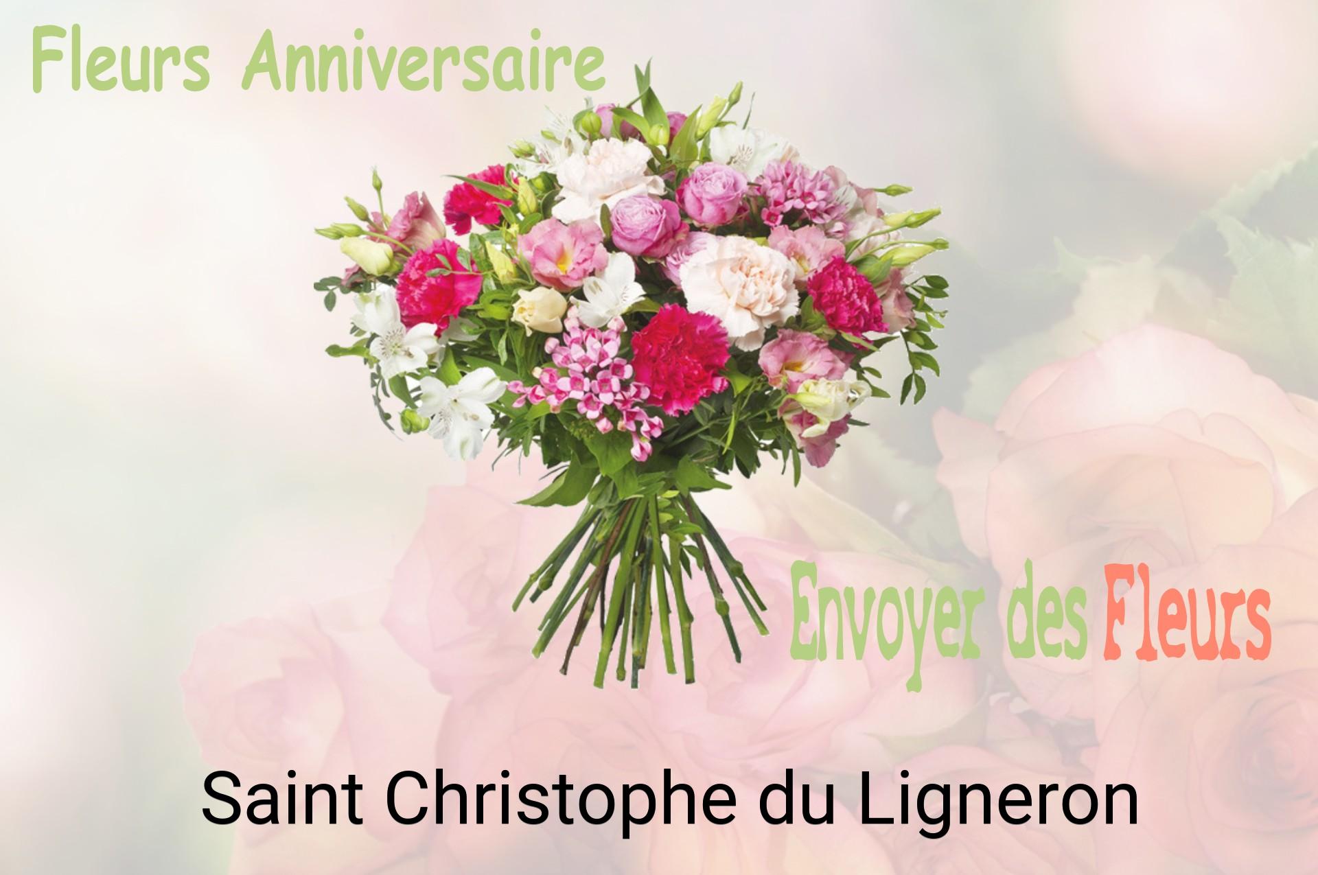 Bouquet de fleurs d’anniversaire livré à Saint-Christophe-du-Ligneron