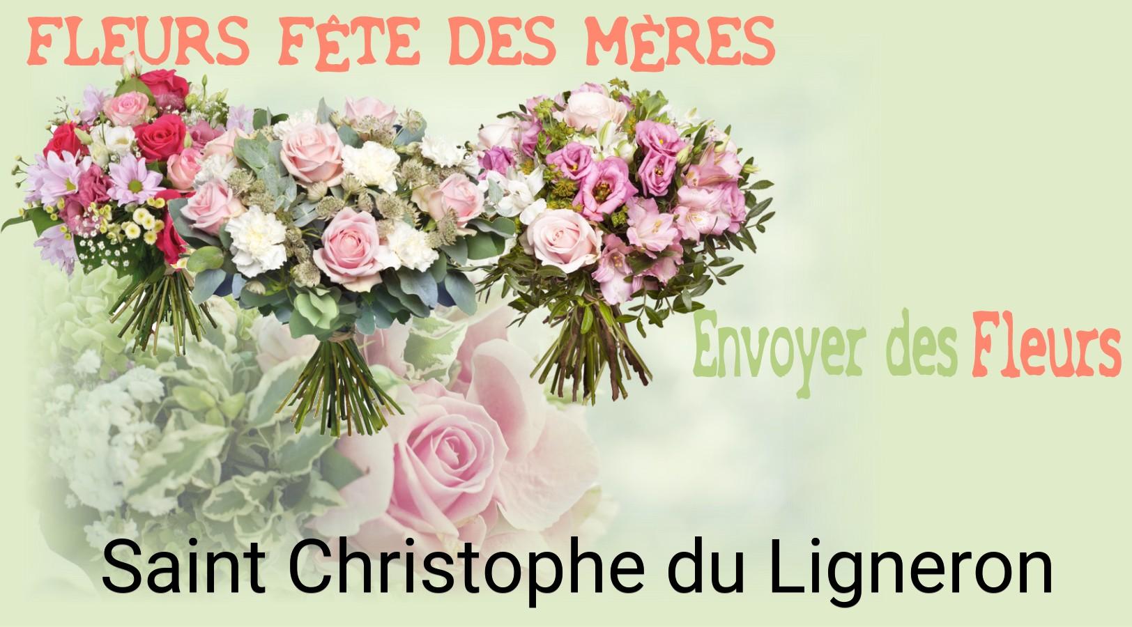 Bouquet de Fête des Mères livré à Saint-Christophe-du-Ligneron